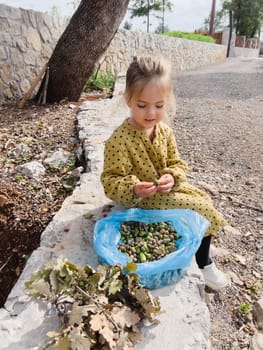 Little girl cleans acorns sitting on a stone fence in the park. High quality photo