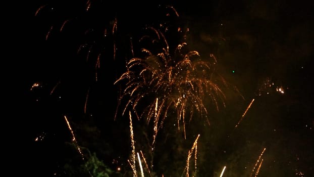 Multiple fireworks explosions on a dark night sky.