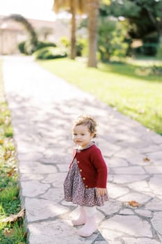 Little smiling girl stands on a paved path. High quality photo