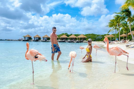 a couple of men and women on the beach with pink flamingos at Aruba Island Caribbean on a sunny day