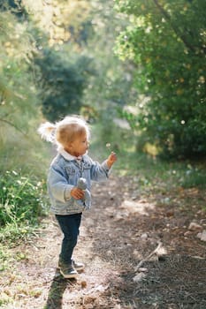 Little girl blows on a dandelion in her hand while standing on a path in the forest. High quality photo