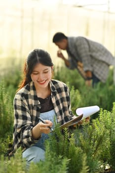 Smiling Asian female farmer examining rosemary while crouching in greenhouse.