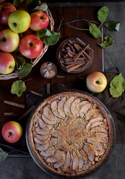 Homemade apple pie on dark rustic background, top view.