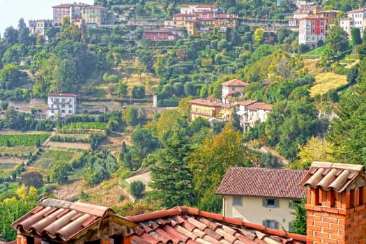 Beautiful buildings on the hills. Bergamo. Beautiful, panoramic view. Journey to Italy. Green Summer Landscape.