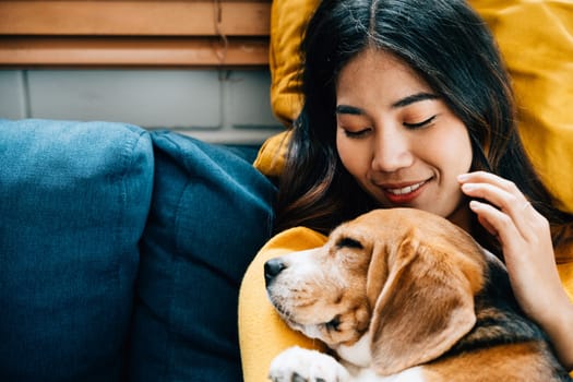 In their living room, a woman and her Beagle dog nap together on the sofa, reflecting the bond of trust and friendship that defines their relationship. It's a portrait of love at home. Pet love