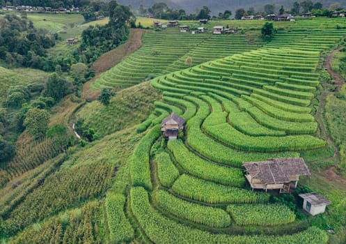 Landscape of green rice terraces amidst mountain agriculture. Travel destinations in Chiangmai, Thailand. Terraced rice fields. Traditional farming. Asian food. Thailand tourism. Nature landscape.