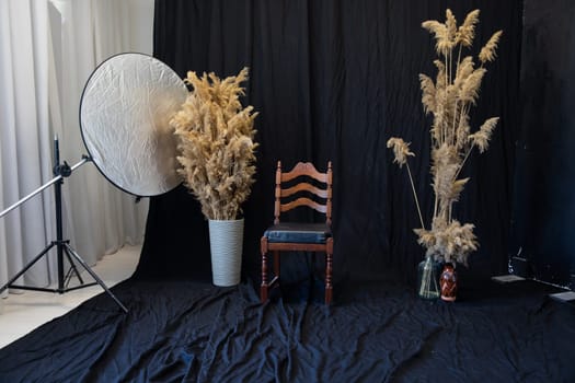 Dried flowers in chair background for photo studio