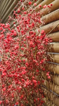 Red flowers on decoration wall design room nature . High quality photo