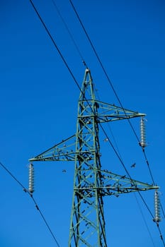 Photographic documentation of a flock of birds on an electricity pylon 