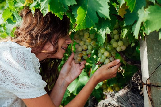 Beautiful woman in white dress collects grapes in the garden