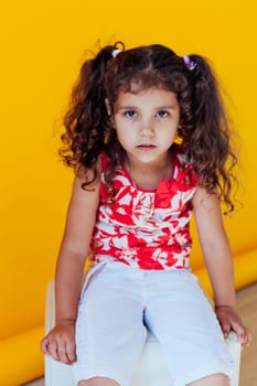 curly fashionable girl with two portrait braids