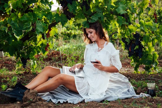 beautiful woman in white dress at a picnic with a laptop in the vineyards