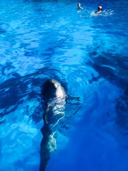 beautiful bottlenose dolphin in the blue wince water pool