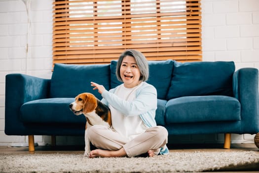 A smiling grandmother shares a joyful moment with her Beagle puppy in their living room. Their friendship and togetherness create a cozy atmosphere, making their home a place of love and happiness.