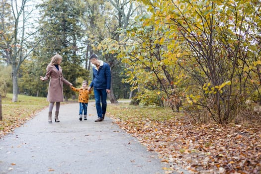 autumn forest walk with the son family 1