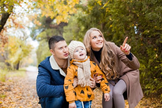 mom and dad and the little boy in the Park in autumn saw the birds