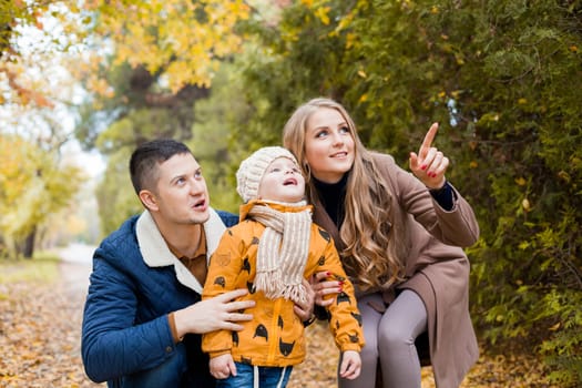 mom and dad and the little boy in the Park in autumn saw the birds