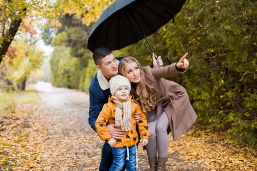 family walk in the autumn forest in the Park in the rain 1