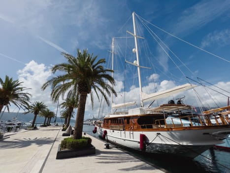 Sailing yacht moored at the marina with green palm trees. High quality photo