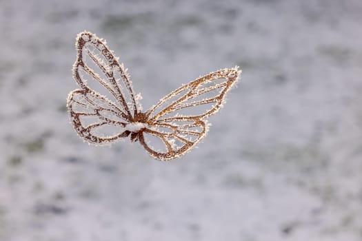 Metal butterfly hovering and flying in the garden with ice crystals and snow in winter in the garden