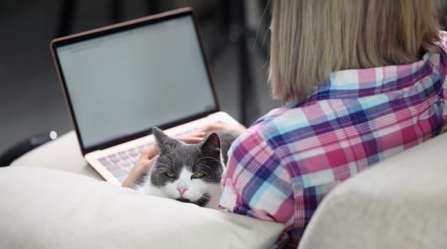 Woman is working on laptop with cat on couch. Freelance remote work or home surfing Internet with pets
