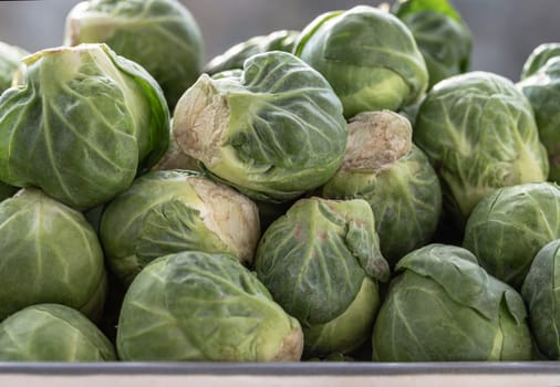 Close-up of Fresh raw organic Green brussel sprouts vegetable on Steel tray with Natural sunlight. Uncooked brussels sprouts, Space for text, Selective focus.