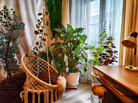 The interior of the room has a wicker swing chair, a desk, a desk lamp and green flowers, trees and window with curtains. A study with greenery. Winter Garden