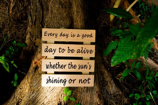 Text on wooden frame laying the tree log - Every day is a good day to be alive whether the sun is shining or not.