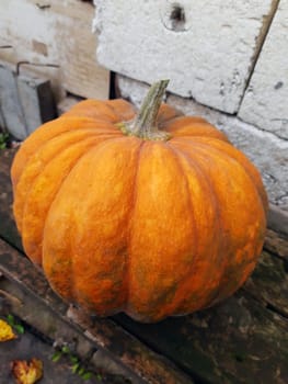 Ripe orange pumpkin on a wooden bench close-up.