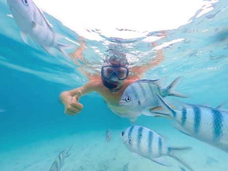 young men at a snorkeling trip in Samaesan Thailand dive underwater with fishes in the coral reef