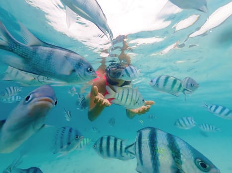 Asian woman on a snorkeling trip at Samaesan Thailand. dive underwater with fishes in the coral reef sea pool. Travel lifestyle, watersport adventure, swim activity on a summer beach holiday