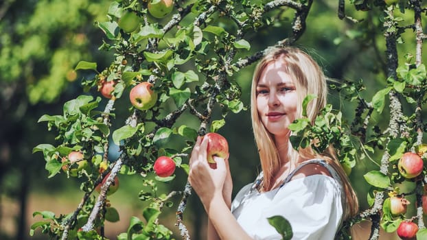A young woman in paradise posing by the branches of an apple tree