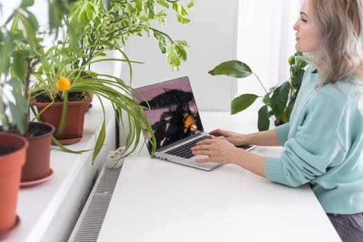 Young smiling happy satisfied employee business woman in casual blue shirt hold pen sit work at workplace white desk with laptop pc computer at light modern office indoors. Achievement career concept