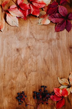 colorful leaves on wooden background red