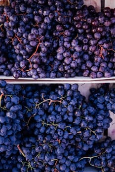 boxes of sweet grapes after harvest