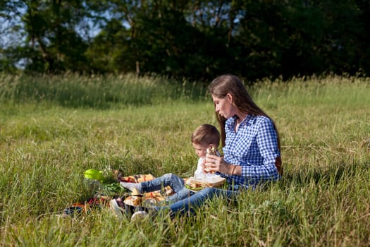 woman with her son on a picnic in a field near the forest