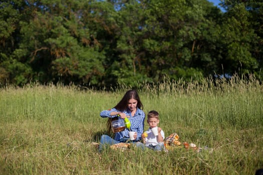 woman with her son on a picnic in a field near the forest