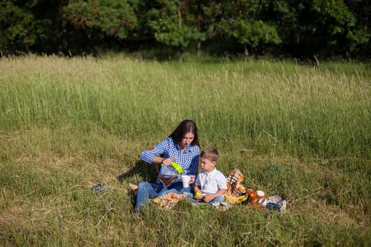 woman with her son on a picnic in a field near the forest