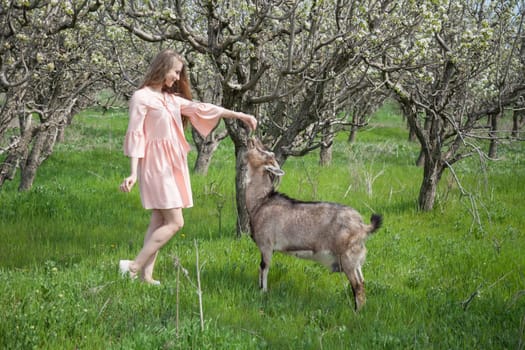 Beautiful woman in pink dress walks through the flowering garden in spring