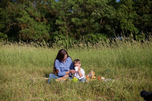 Beautiful woman with her beloved son on a picnic in the woods