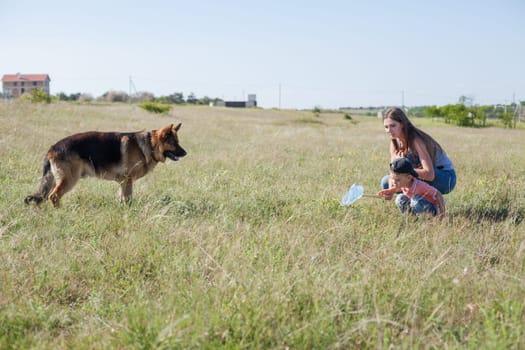 woman plays with german Shepherd dog on walk