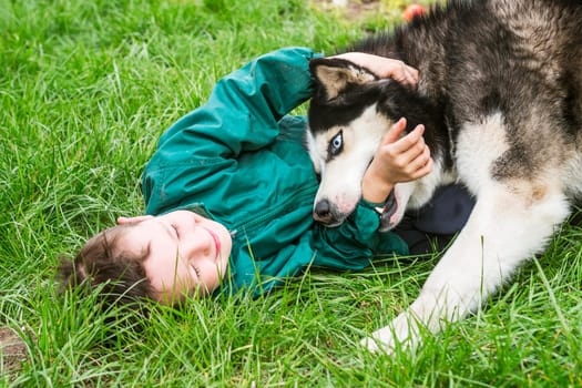 Boy playing with his dog. Happy child plays with siberian husky dog. Active children concept.
