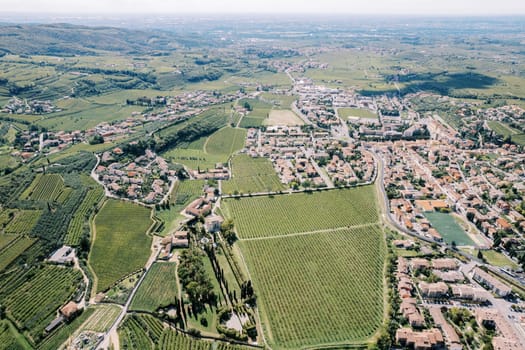 Green vineyards in Negrar Valpolicella. Verona, Italy. Drone. High quality photo