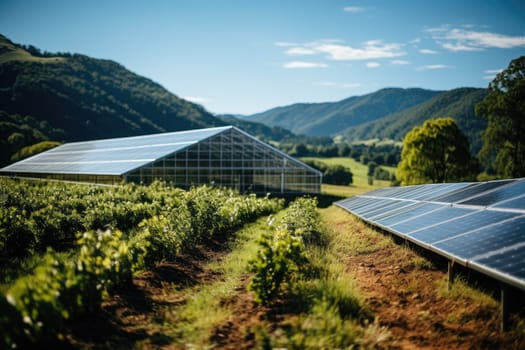 Solar panels installed next to the greenhouse provide sustainable energy solutions for modern farming practices and contribute to the reduction of carbon dioxide emissions.