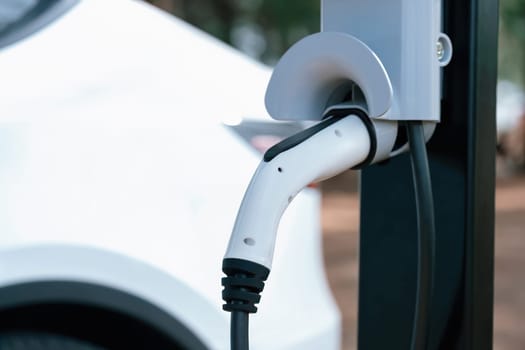 Closeup EV charger handle plugged in or connect to electric car, recharging EV car battery with alternative and sustainable energy with zero CO2 emission for clean environment. Perpetual