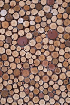 Background of tree stumps, natural wood background. High quality photo