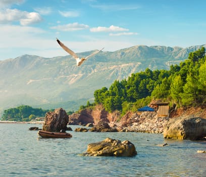 Wild beach near Sveti Stefan in Montenegro