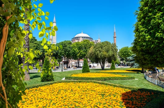 View of the Blue Mosque from the park in Istanbul