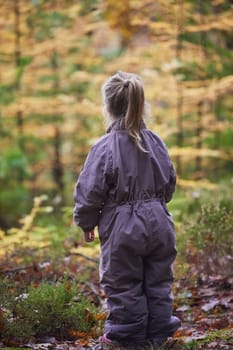 Beautiful child in the forest in Denmark.