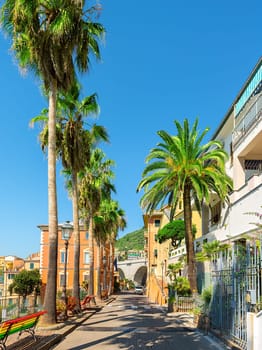 Road with palm trees in the city of Bogliasco in southern Italy